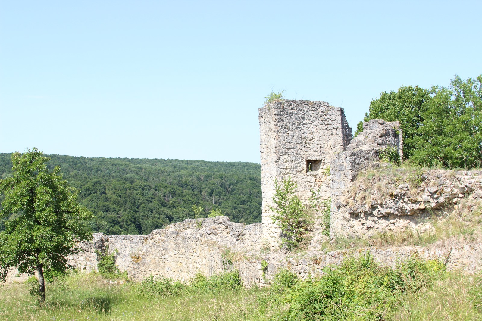 Vergrößerbares Bild