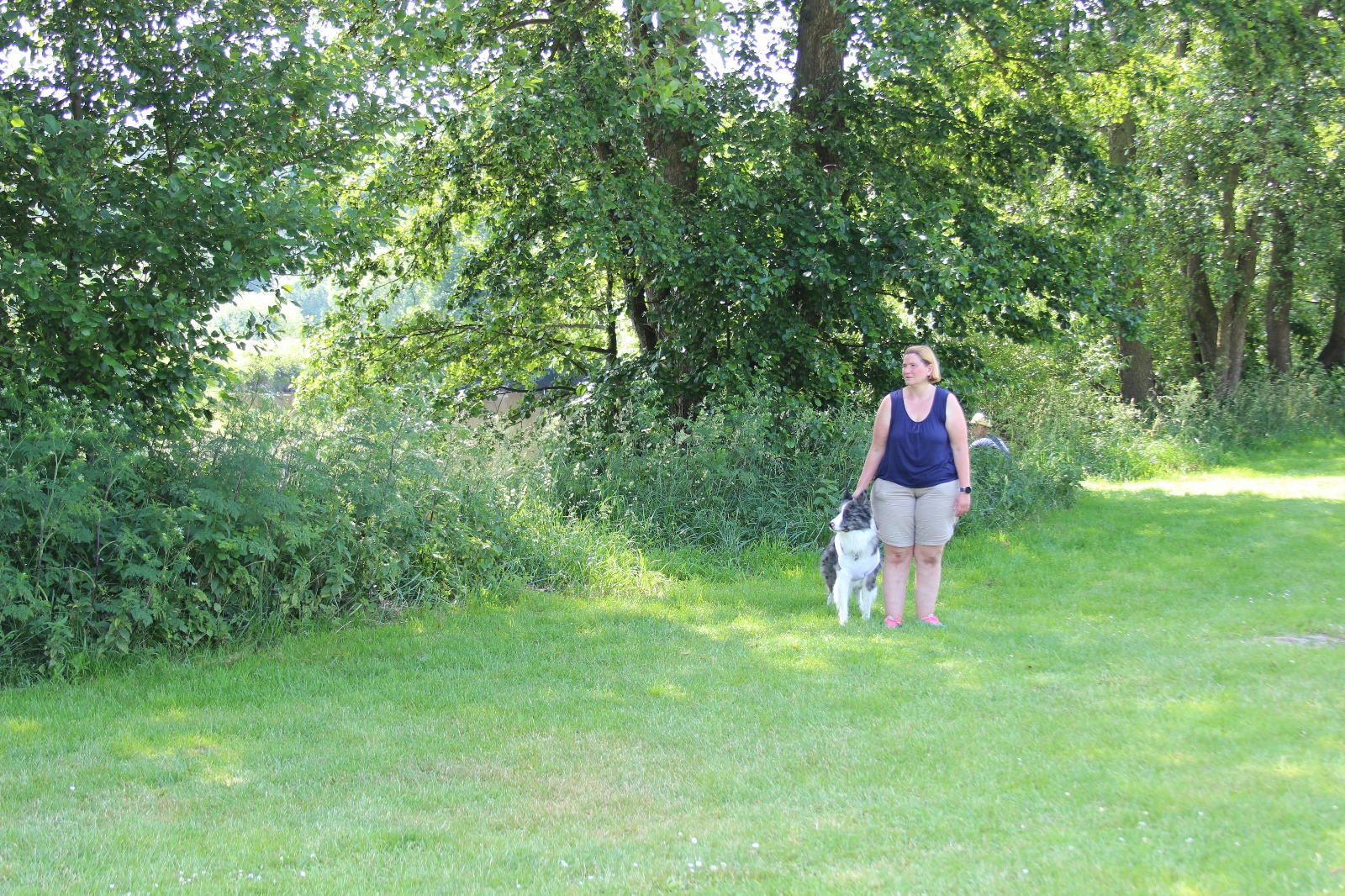 Vergrößerbares Bild