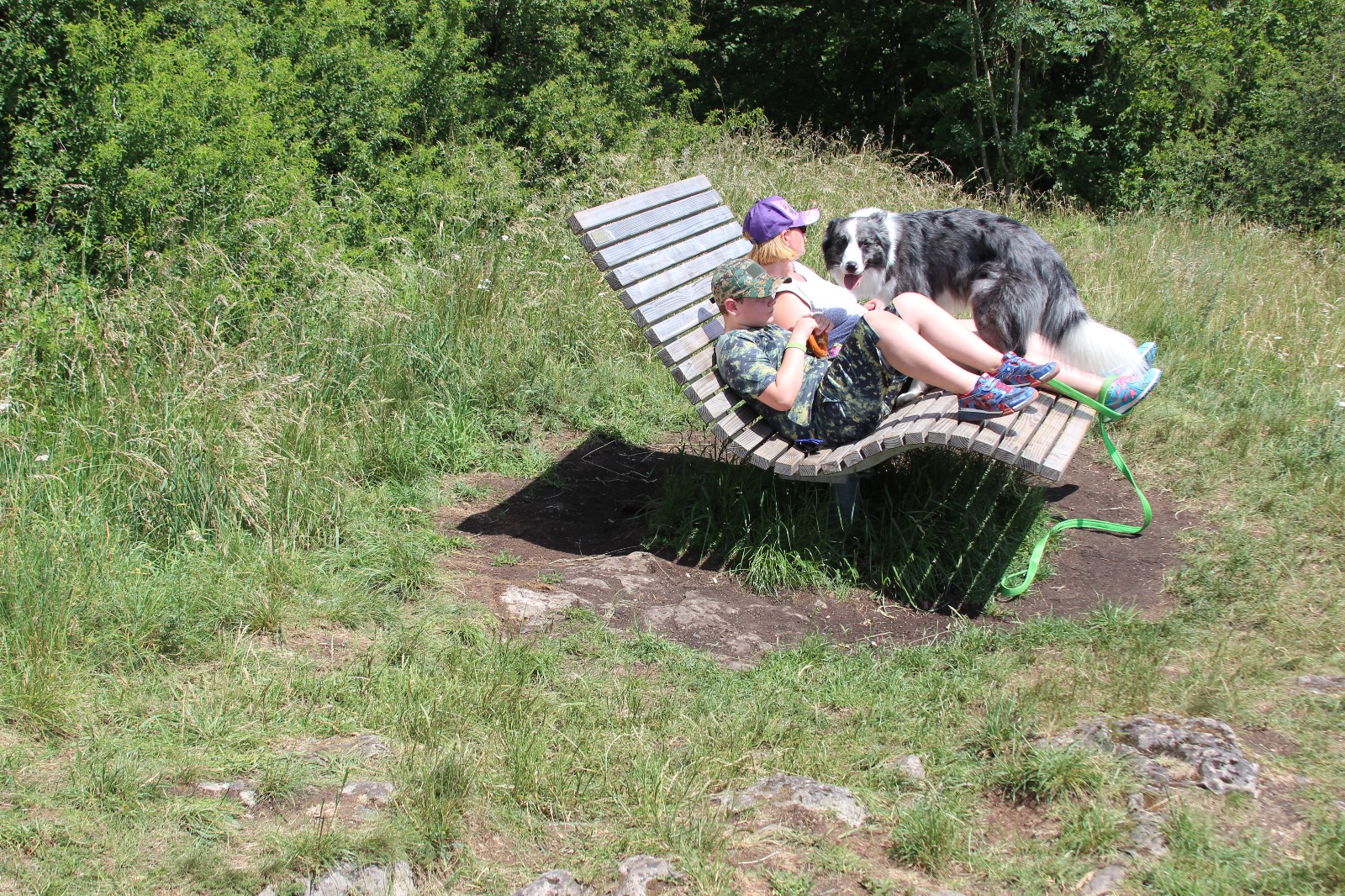 Vergrößerbares Bild