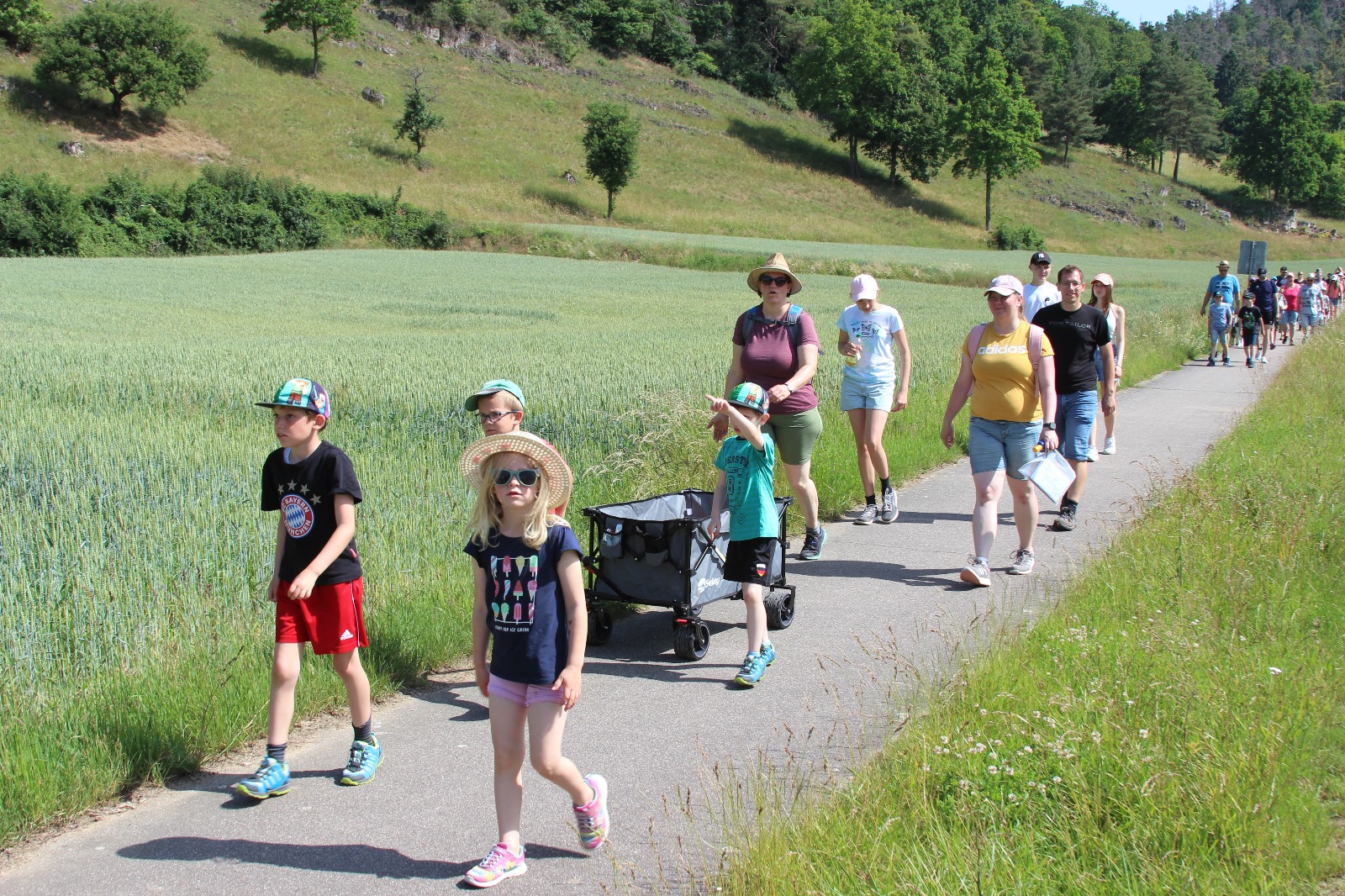 Vergrößerbares Bild