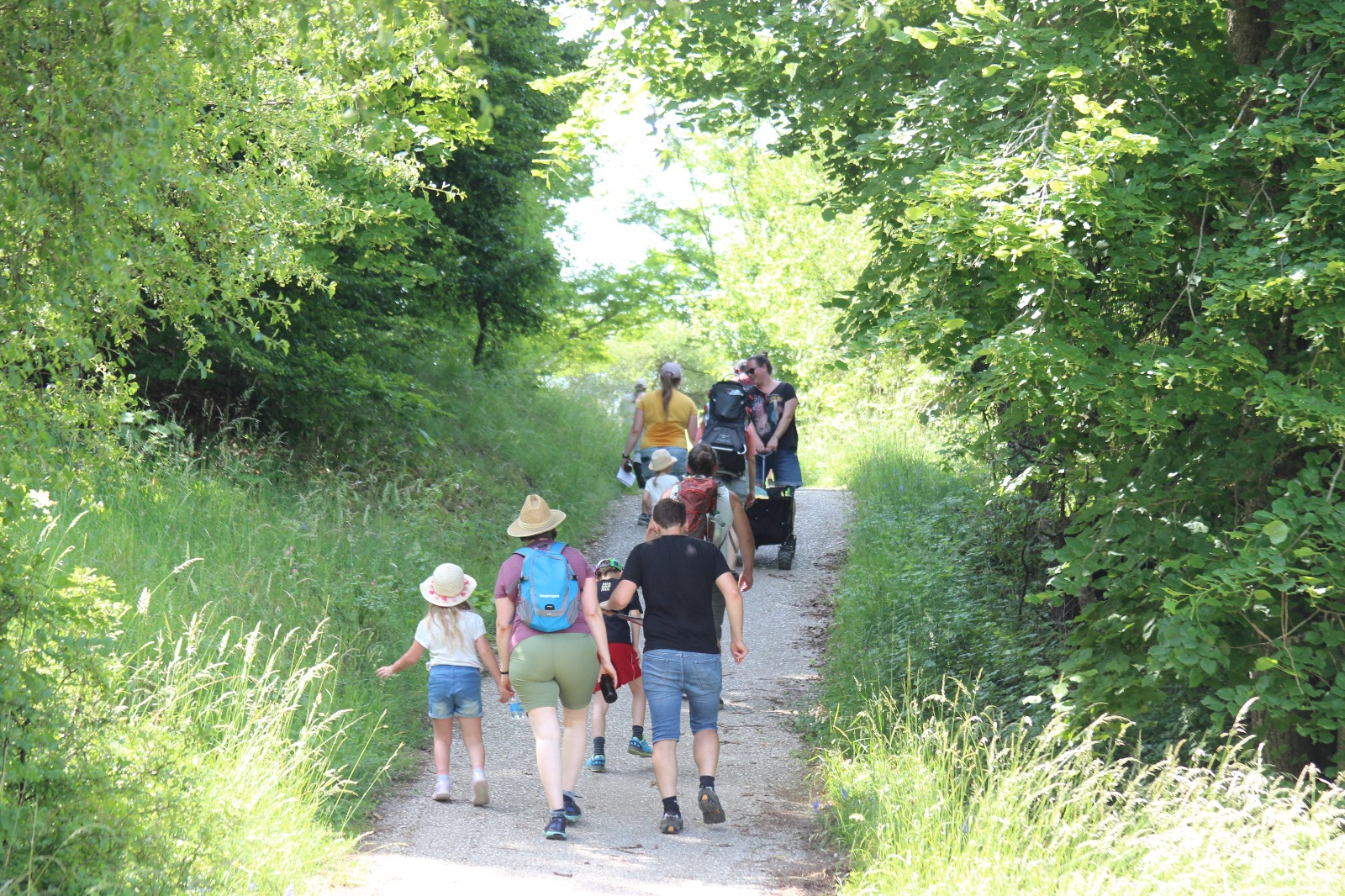 Vergrößerbares Bild