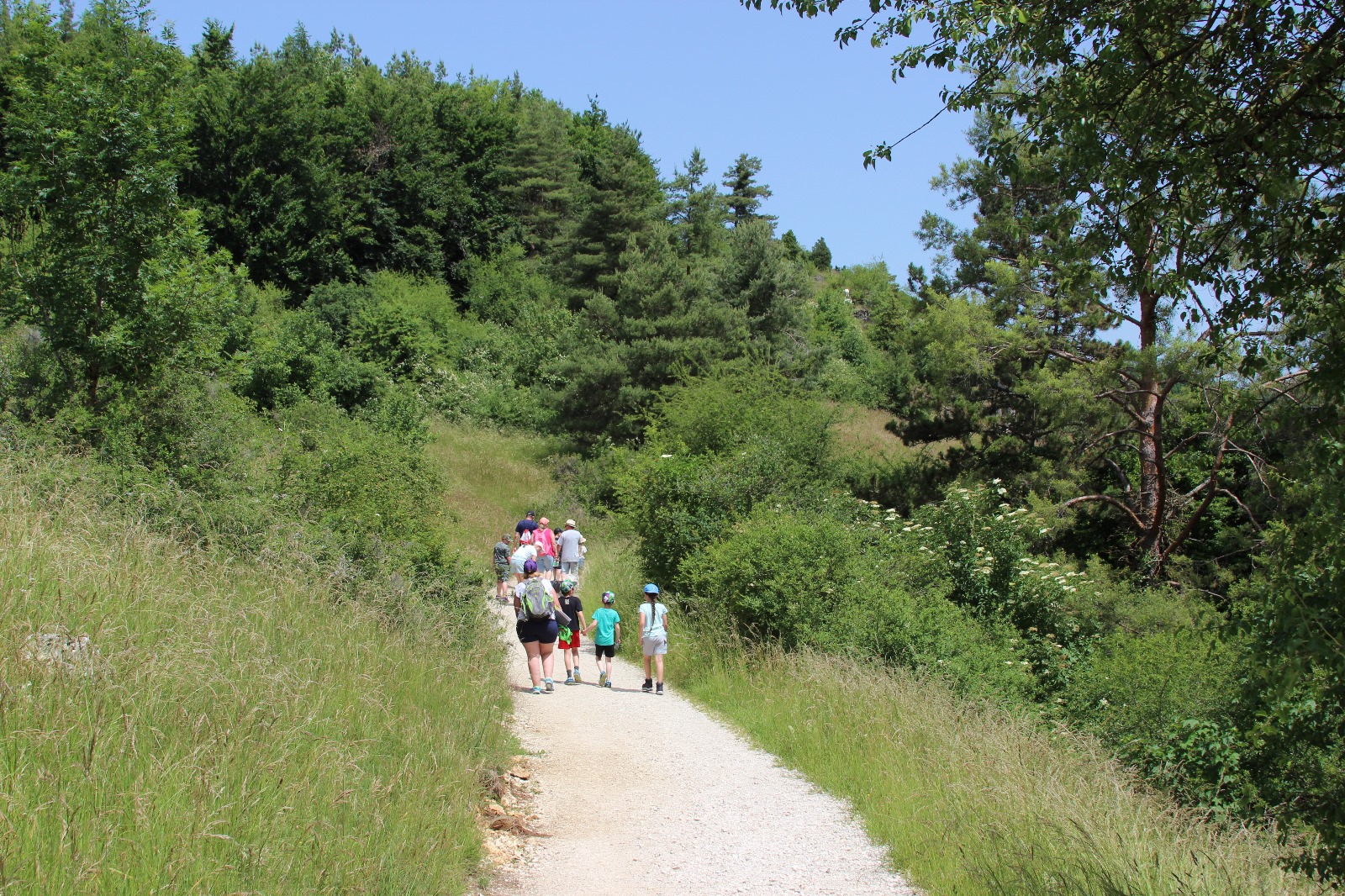 Vergrößerbares Bild