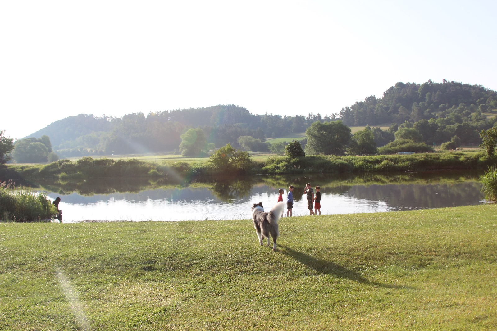Vergrößerbares Bild