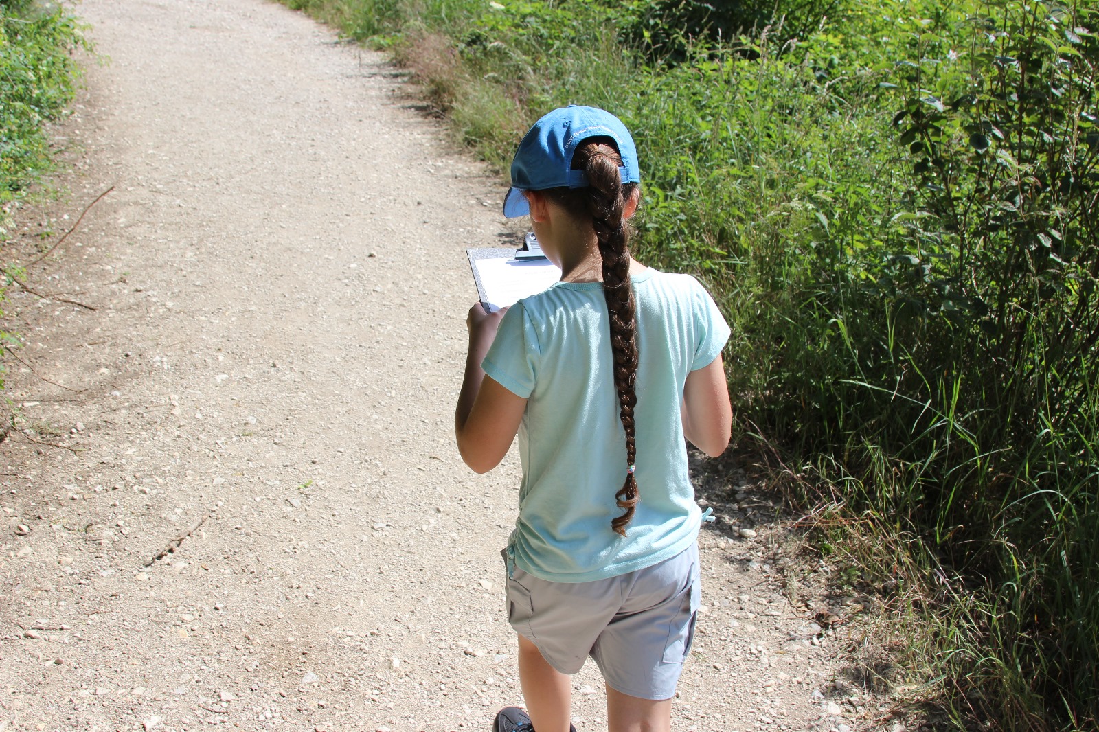 Vergrößerbares Bild