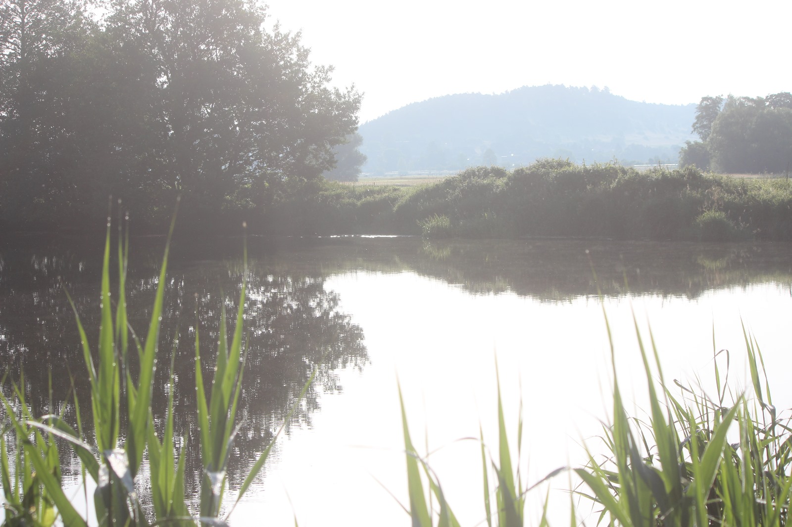 Vergrößerbares Bild