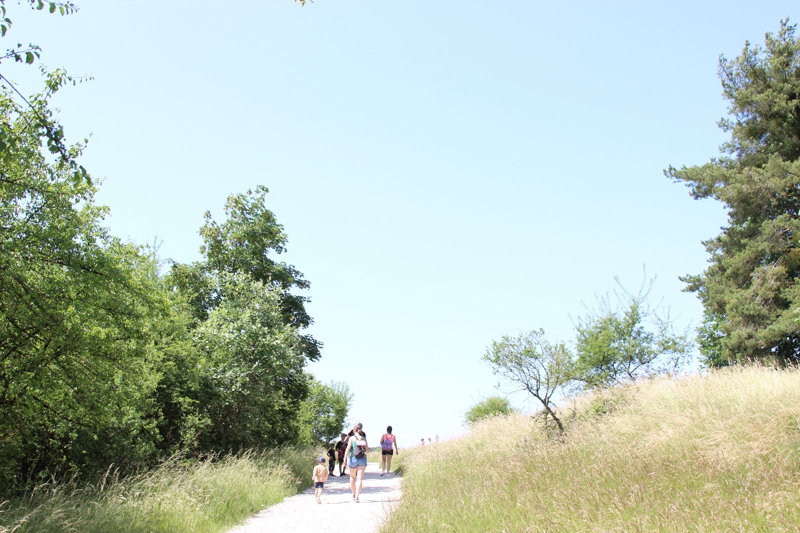 Vergrößerbares Bild