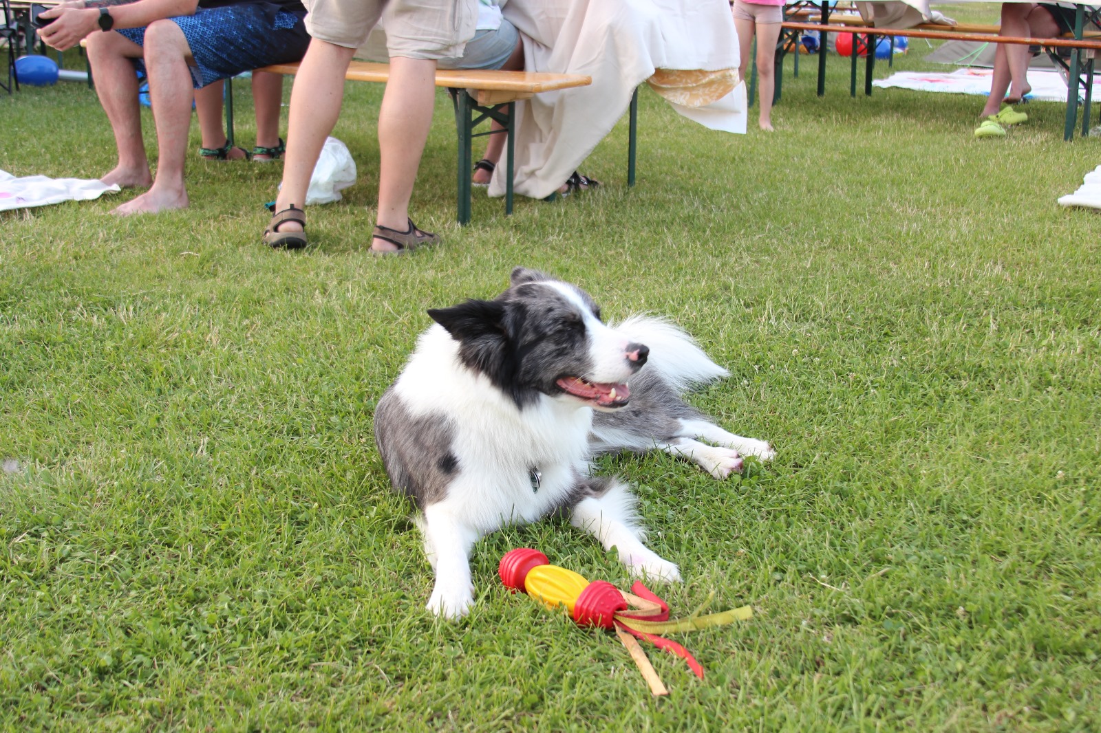 Vergrößerbares Bild