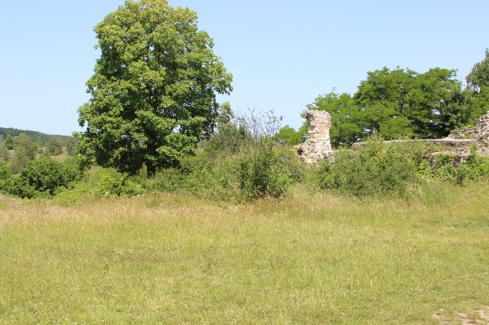 Vergrößerbares Bild