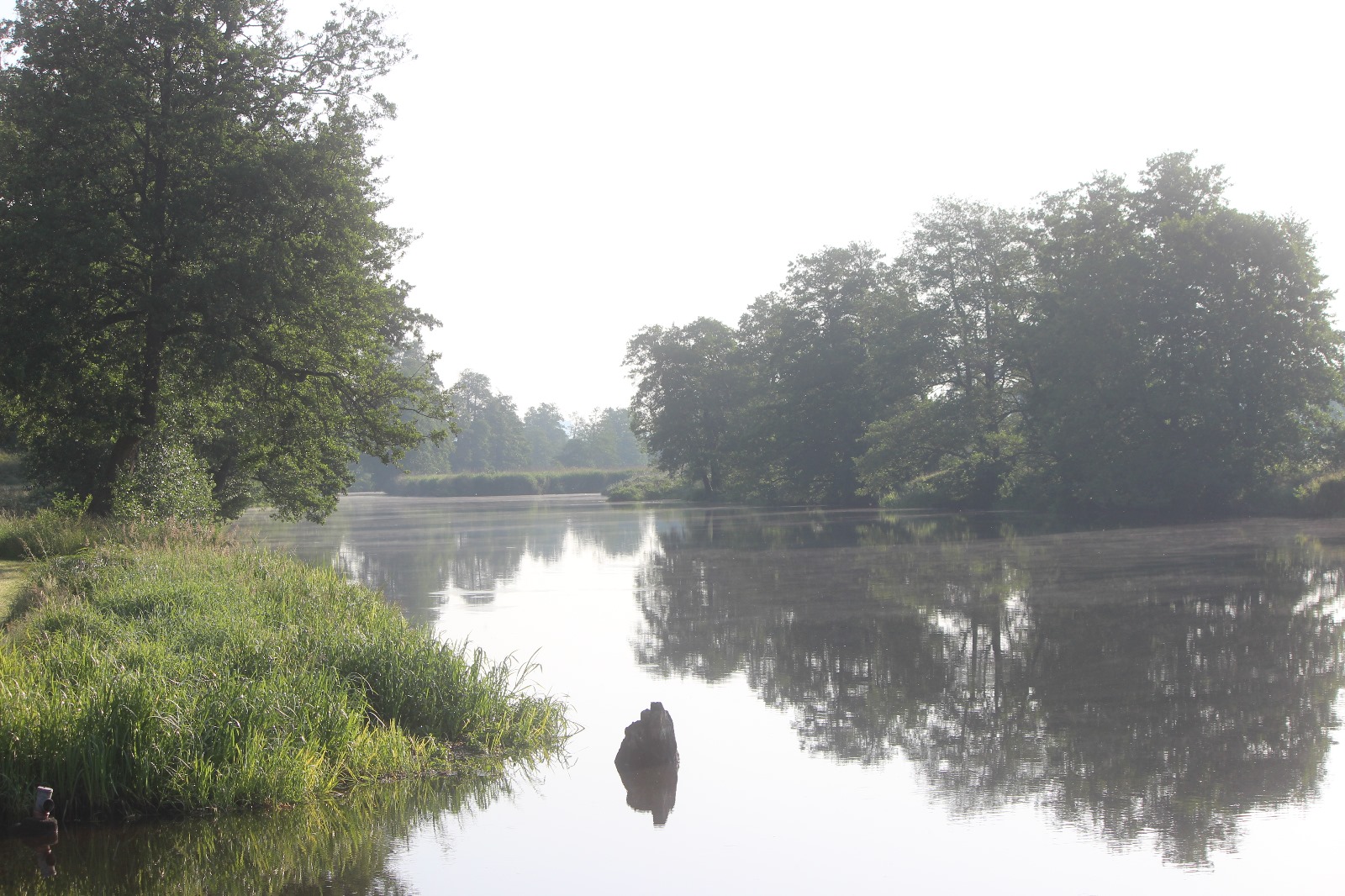 Vergrößerbares Bild