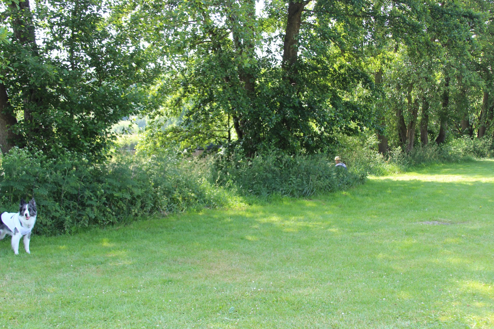 Vergrößerbares Bild