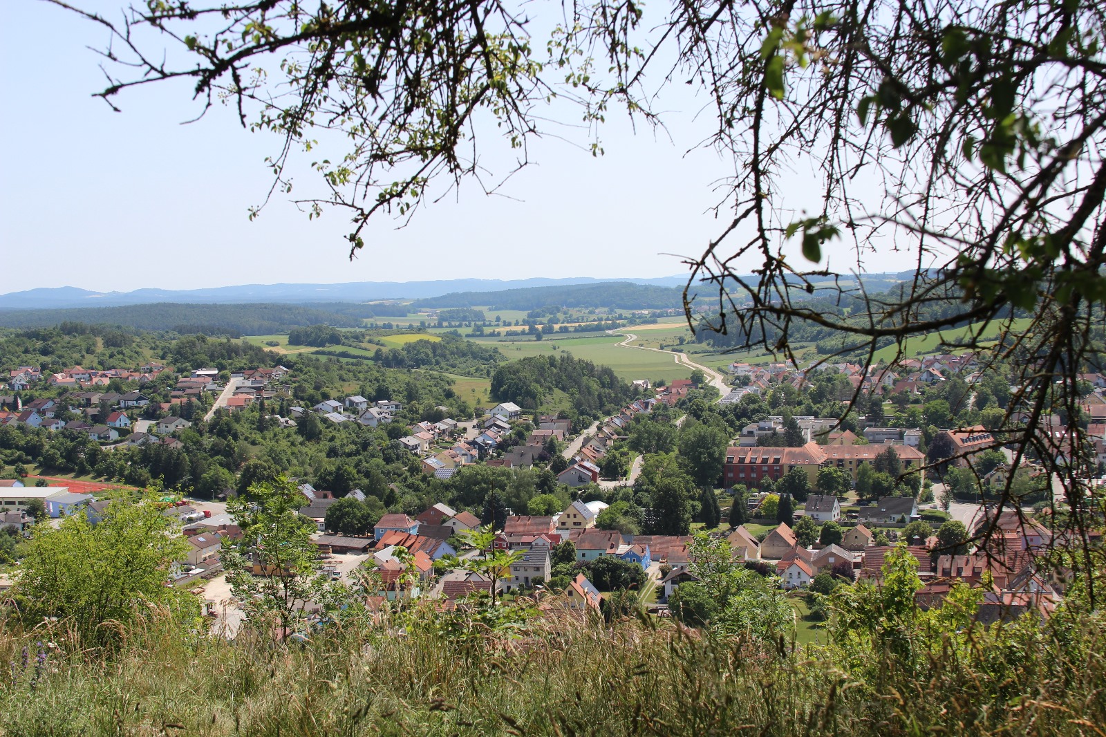 Vergrößerbares Bild