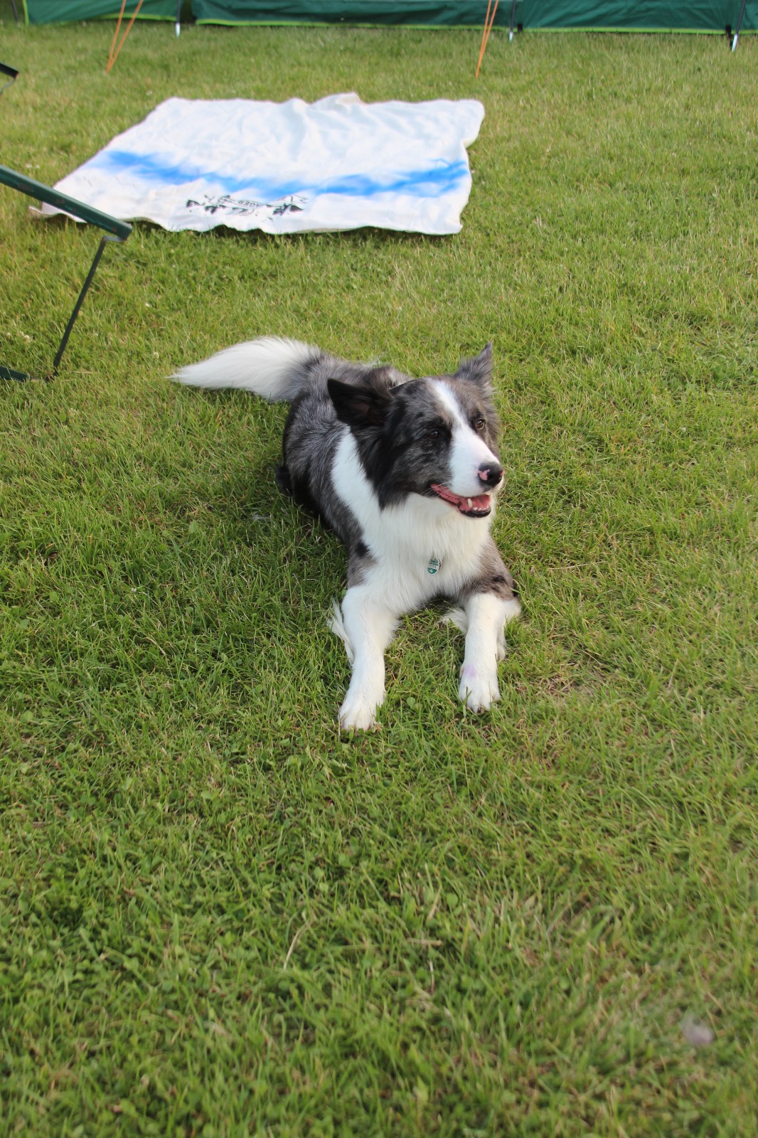 Vergrößerbares Bild