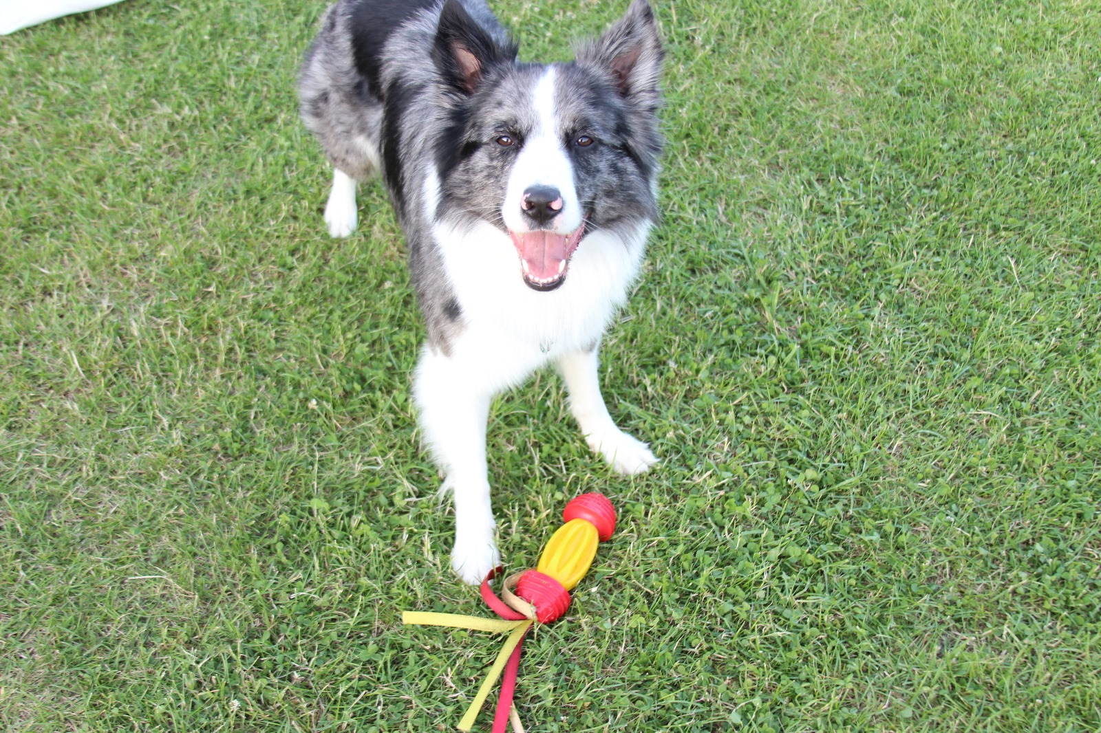 Vergrößerbares Bild