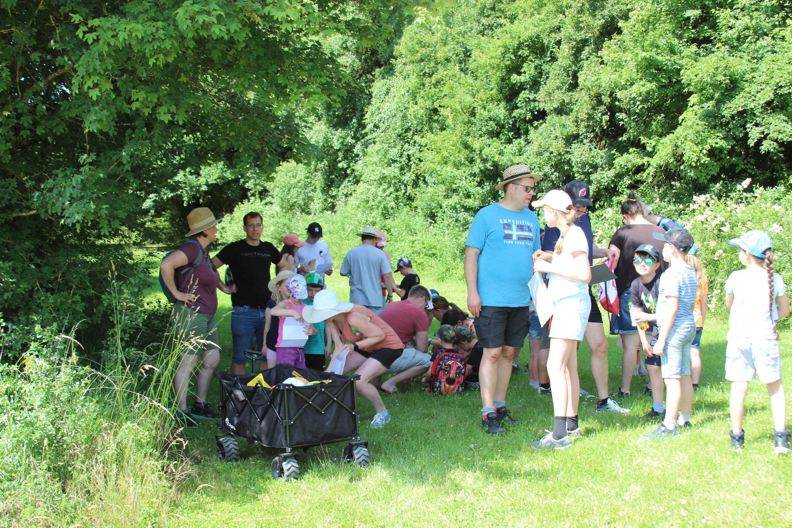 Vergrößerbares Bild