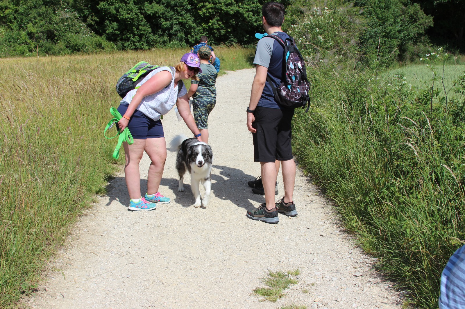 Vergrößerbares Bild