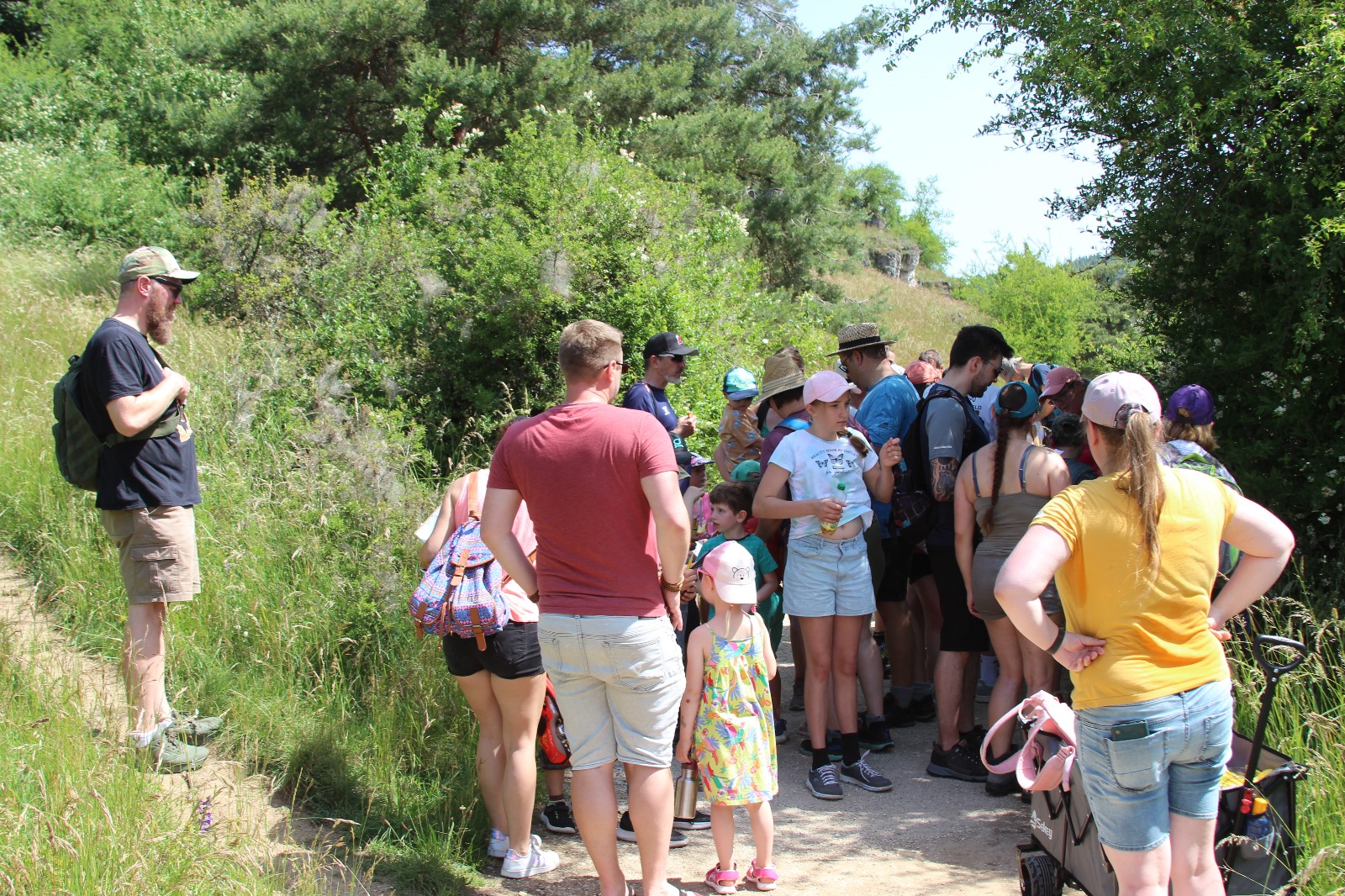 Vergrößerbares Bild