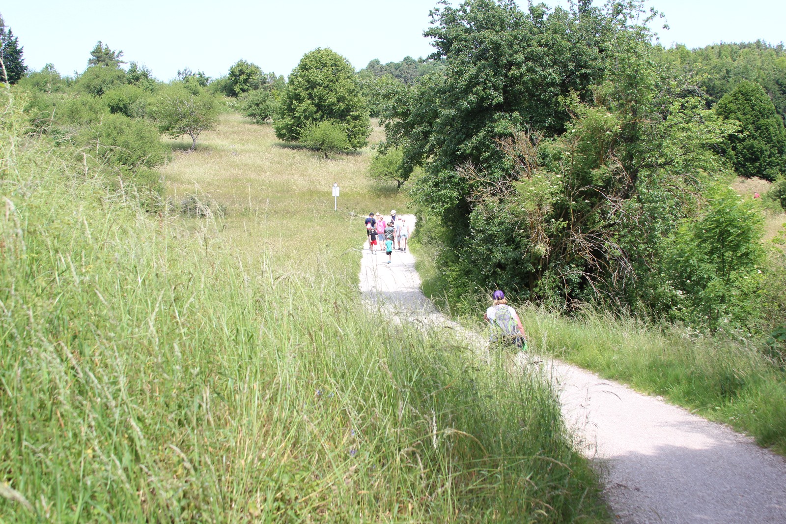 Vergrößerbares Bild