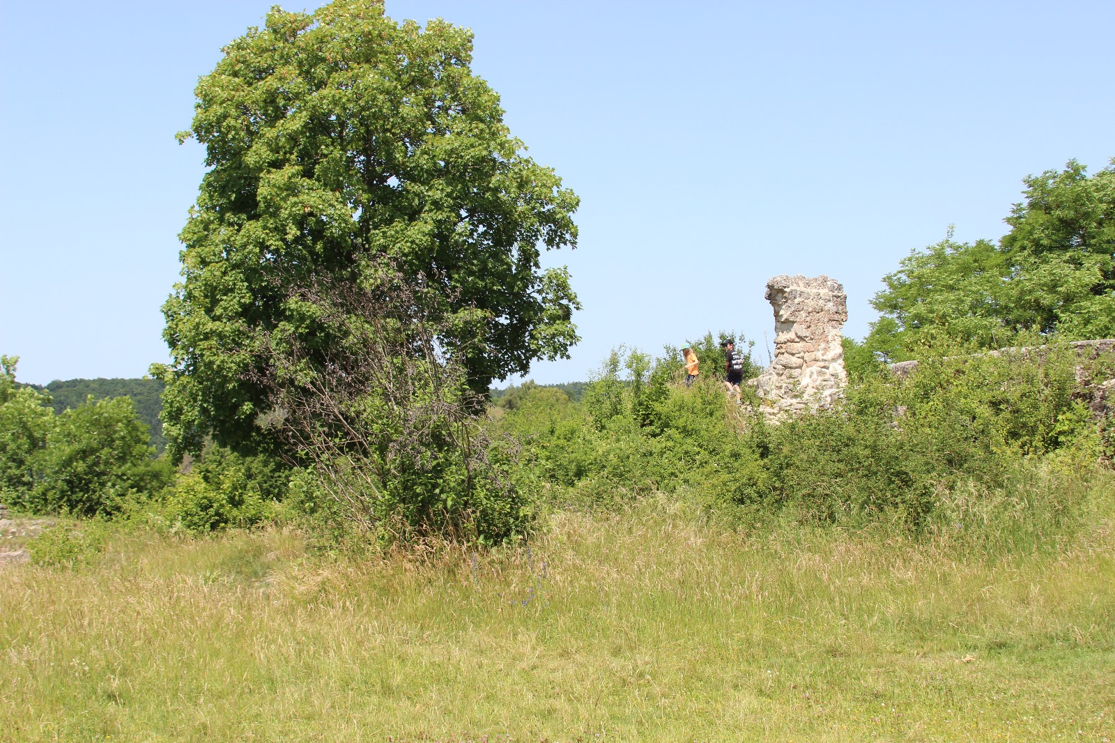 Vergrößerbares Bild