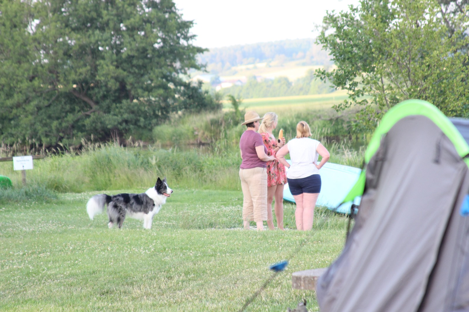 Vergrößerbares Bild