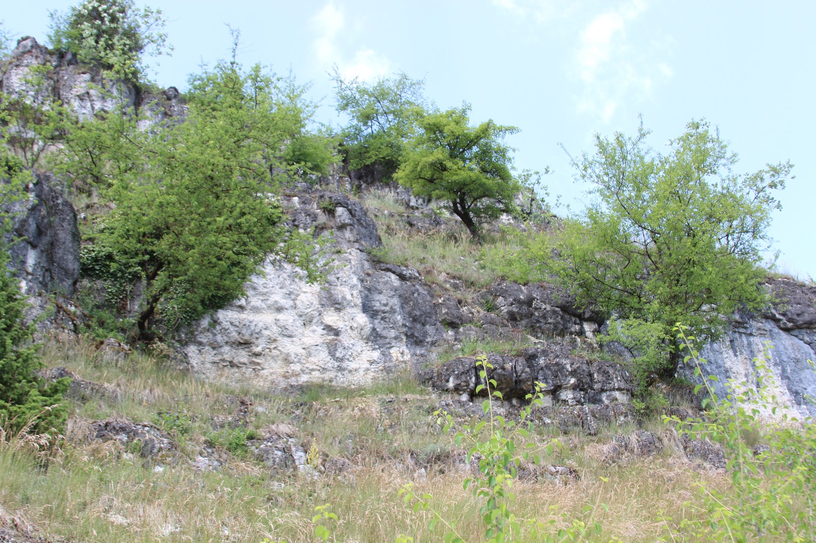 Vergrößerbares Bild