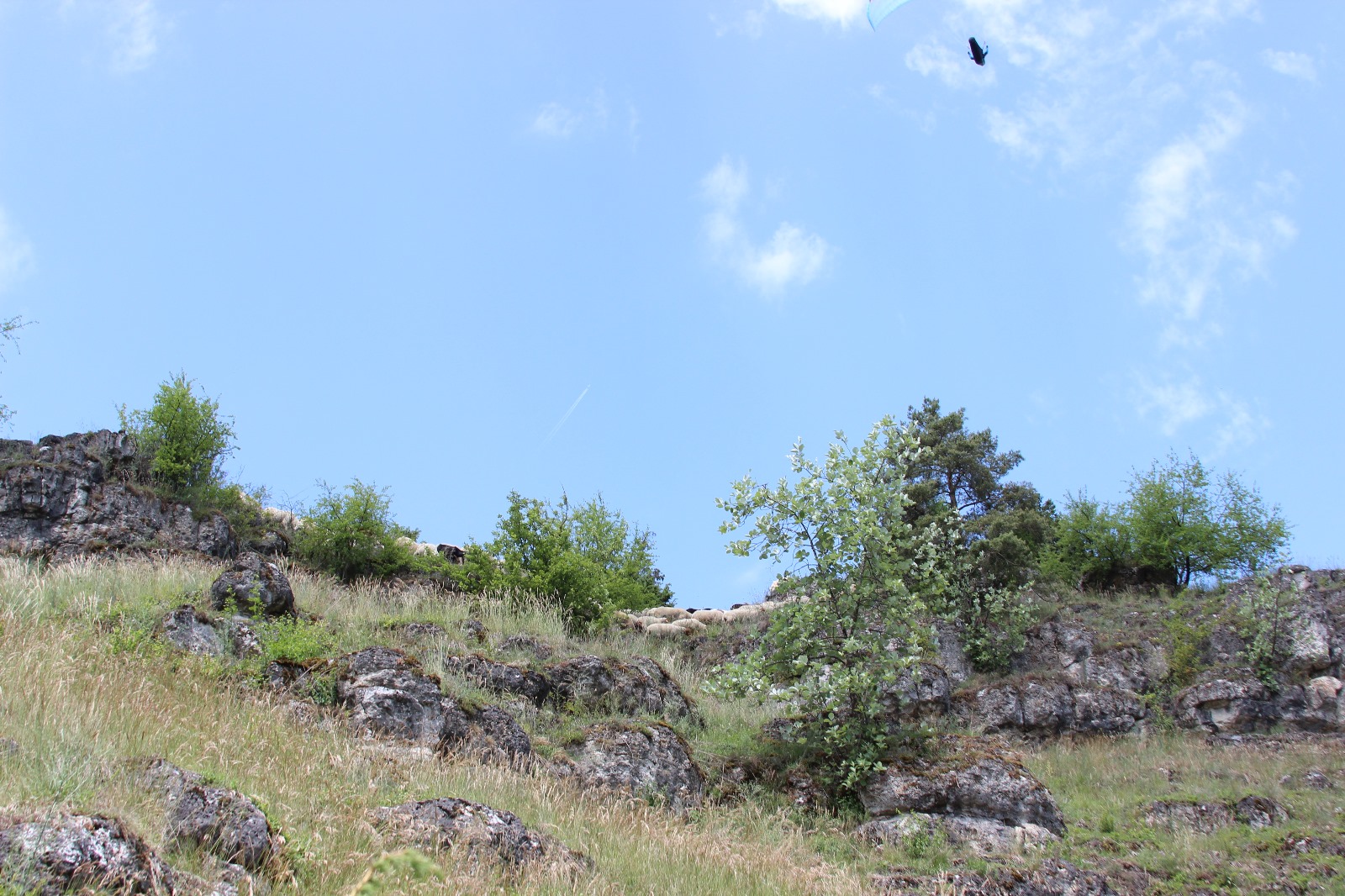 Vergrößerbares Bild