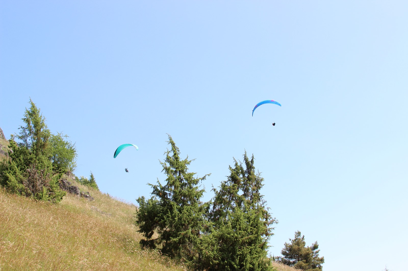 Vergrößerbares Bild