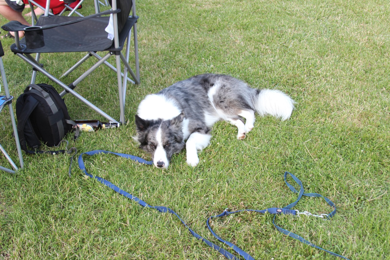 Vergrößerbares Bild