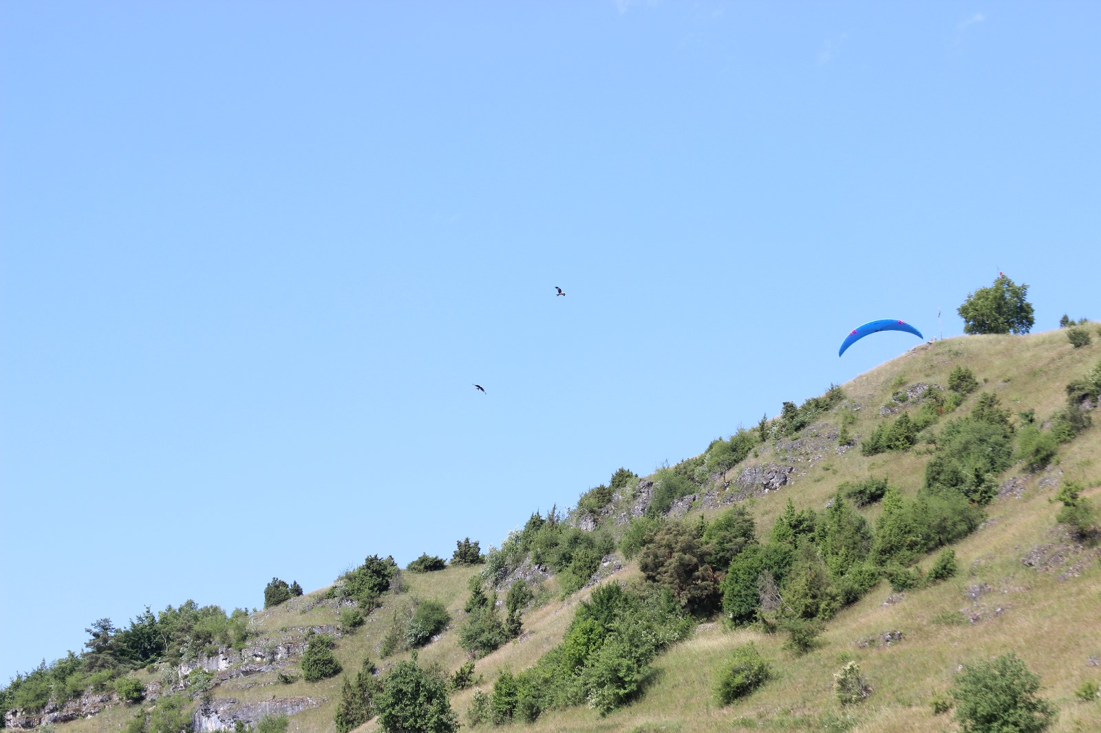 Vergrößerbares Bild