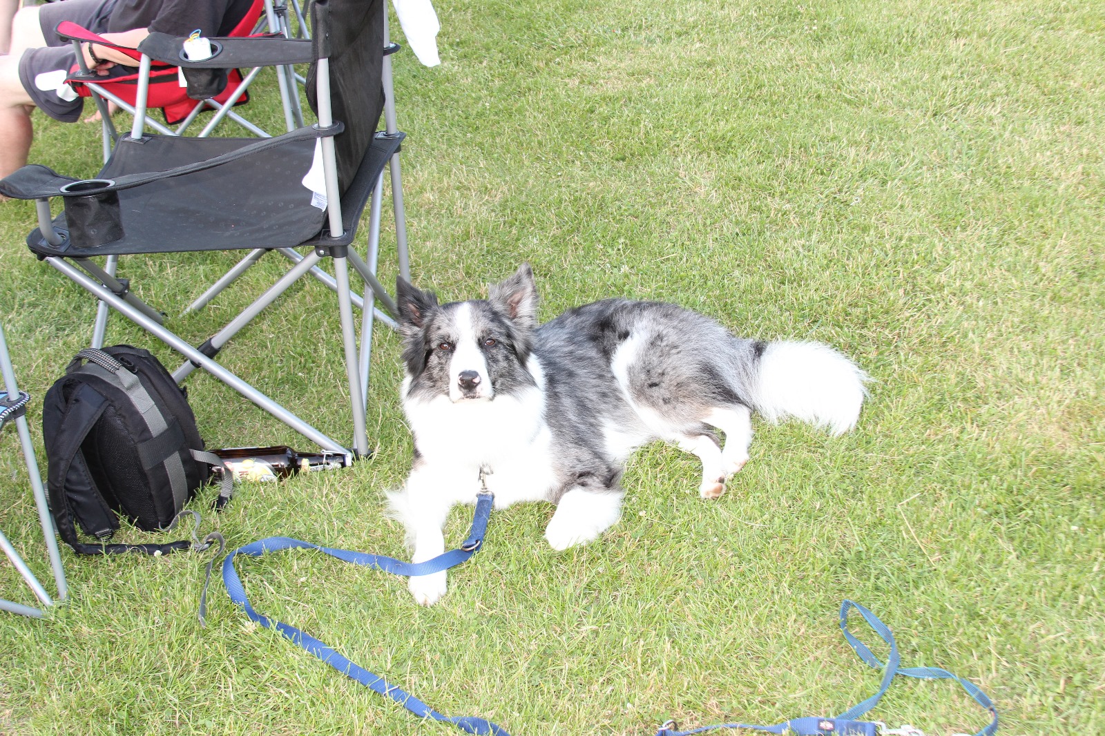 Vergrößerbares Bild