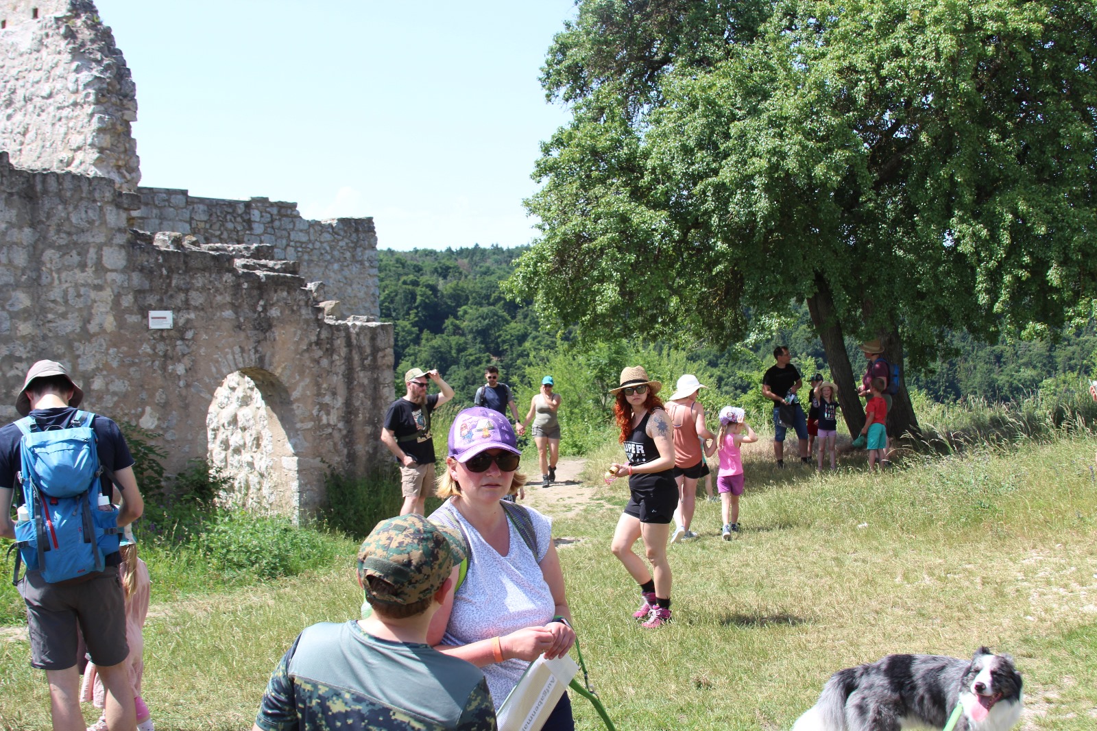 Vergrößerbares Bild