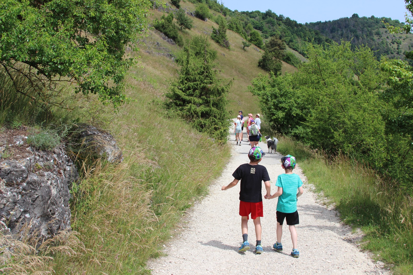 Vergrößerbares Bild