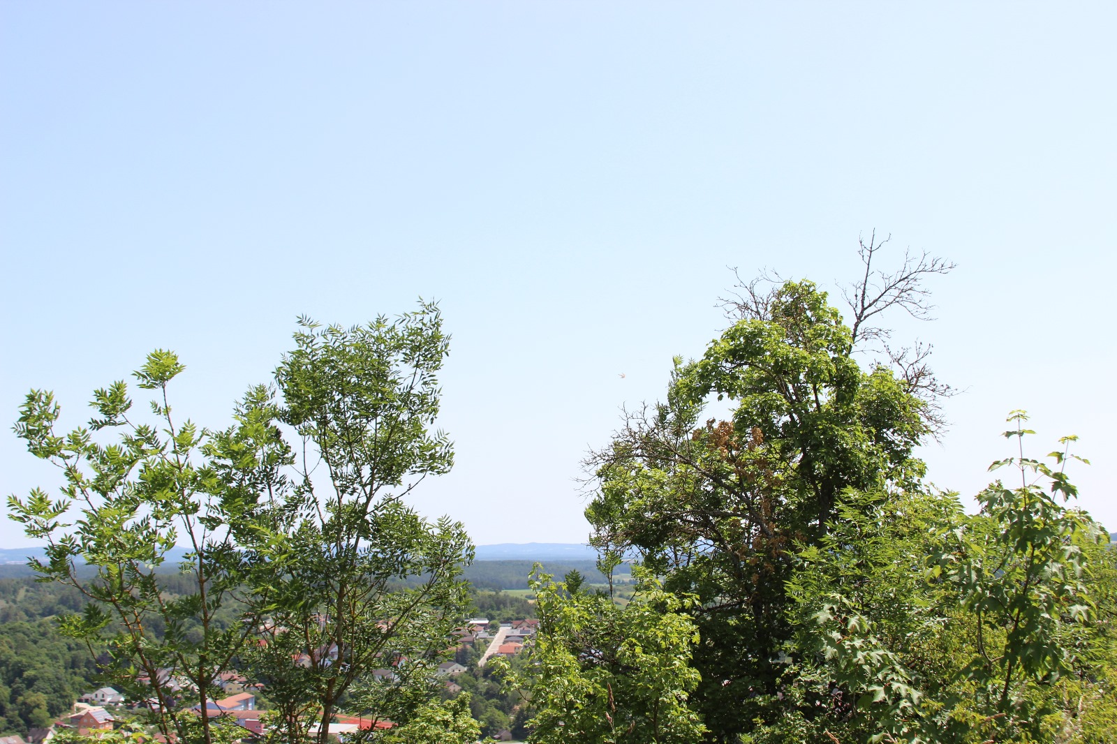 Vergrößerbares Bild