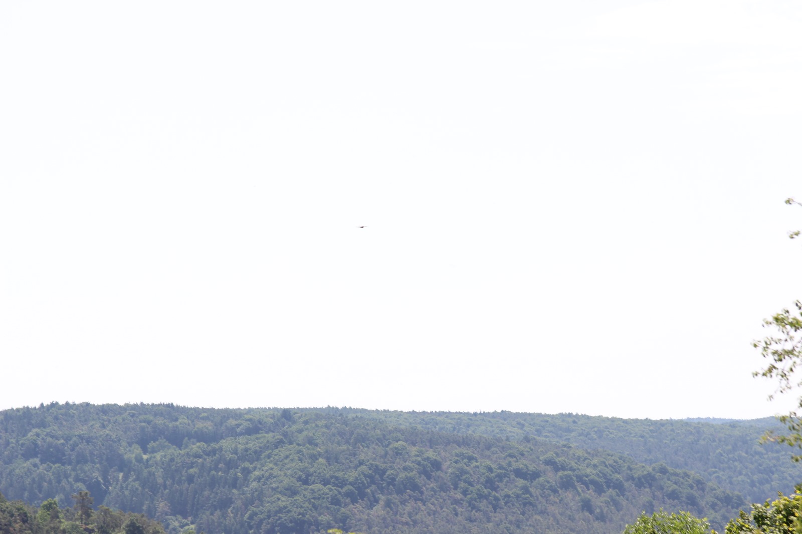 Vergrößerbares Bild