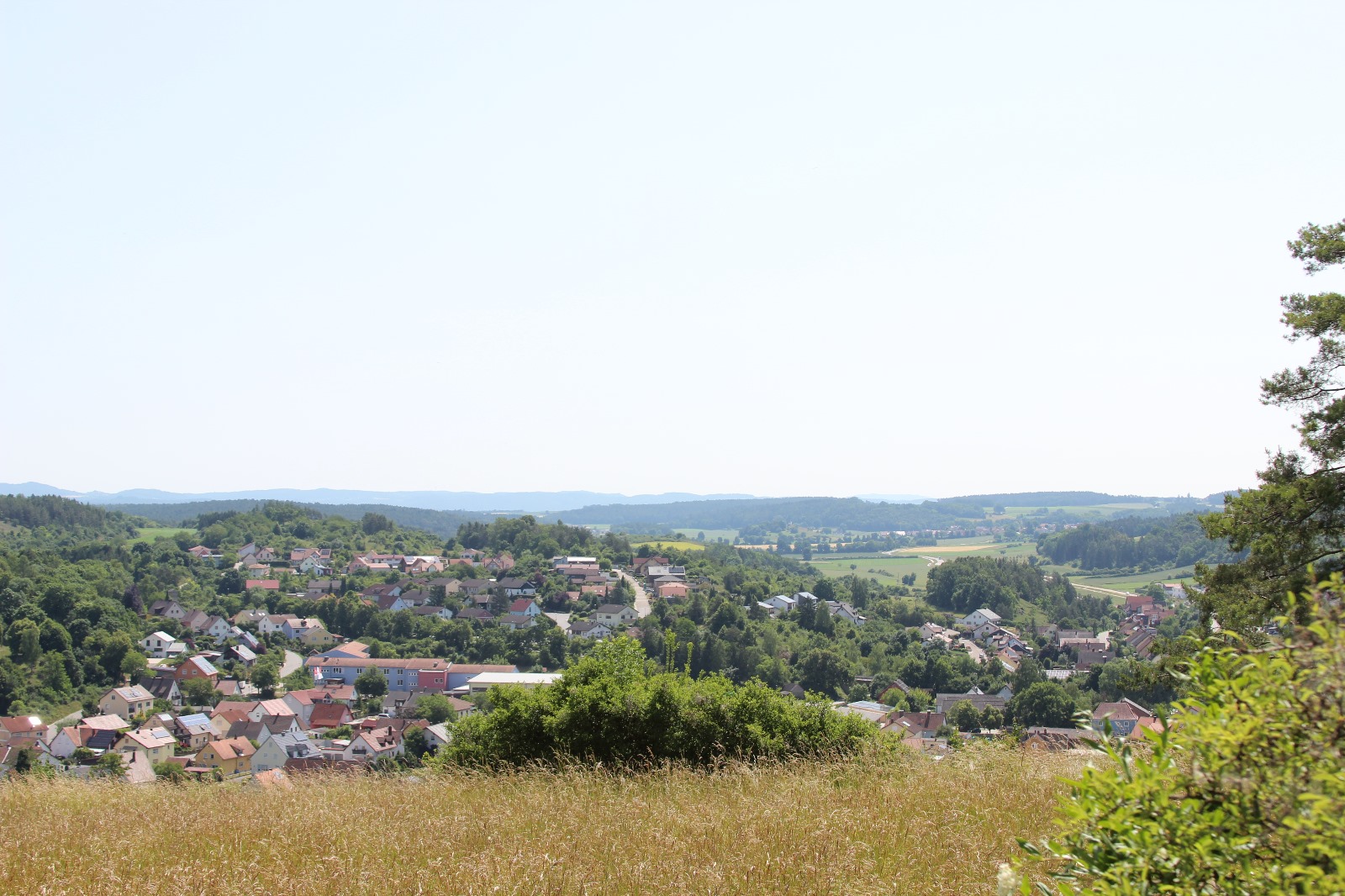 Vergrößerbares Bild