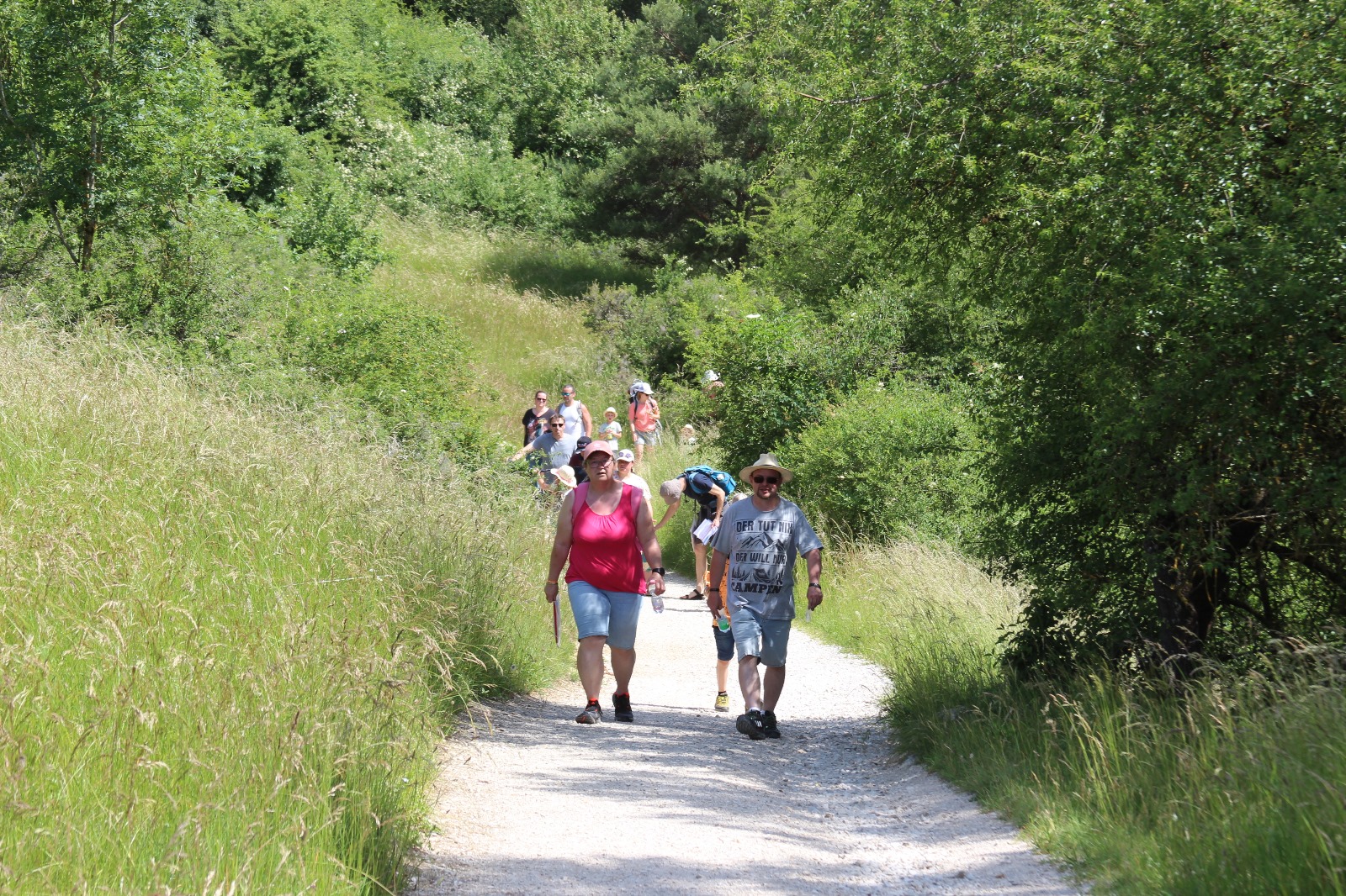 Vergrößerbares Bild