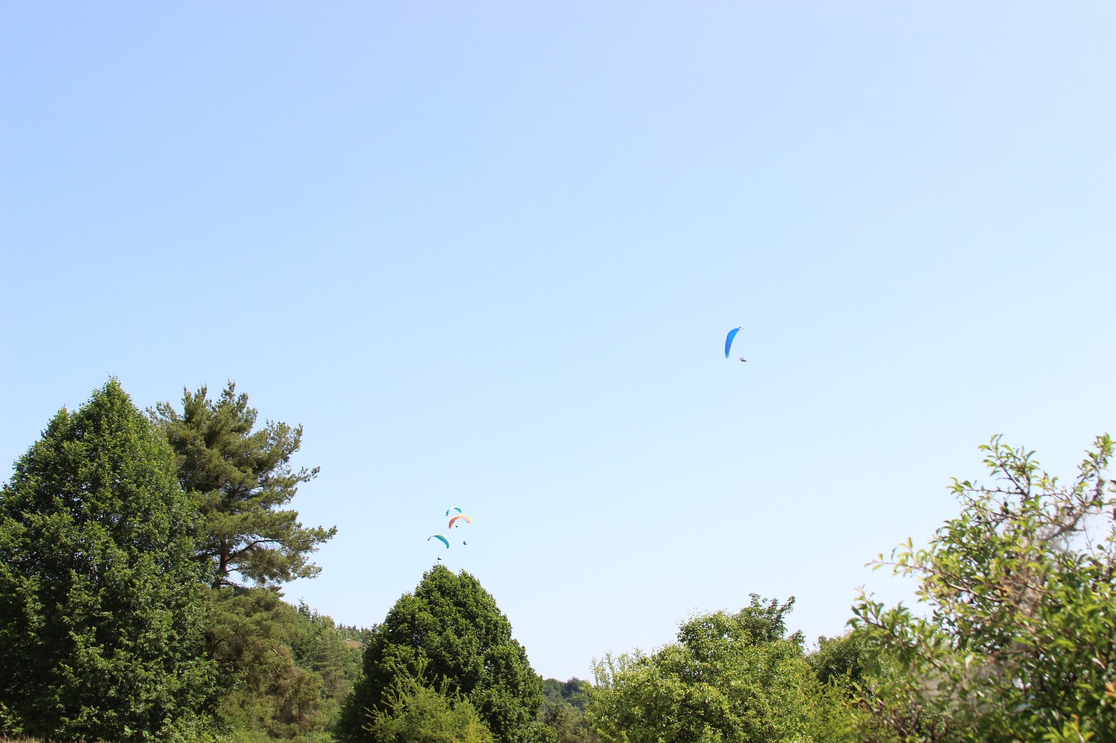 Vergrößerbares Bild