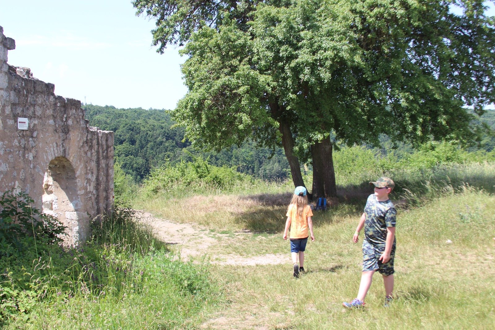 Vergrößerbares Bild