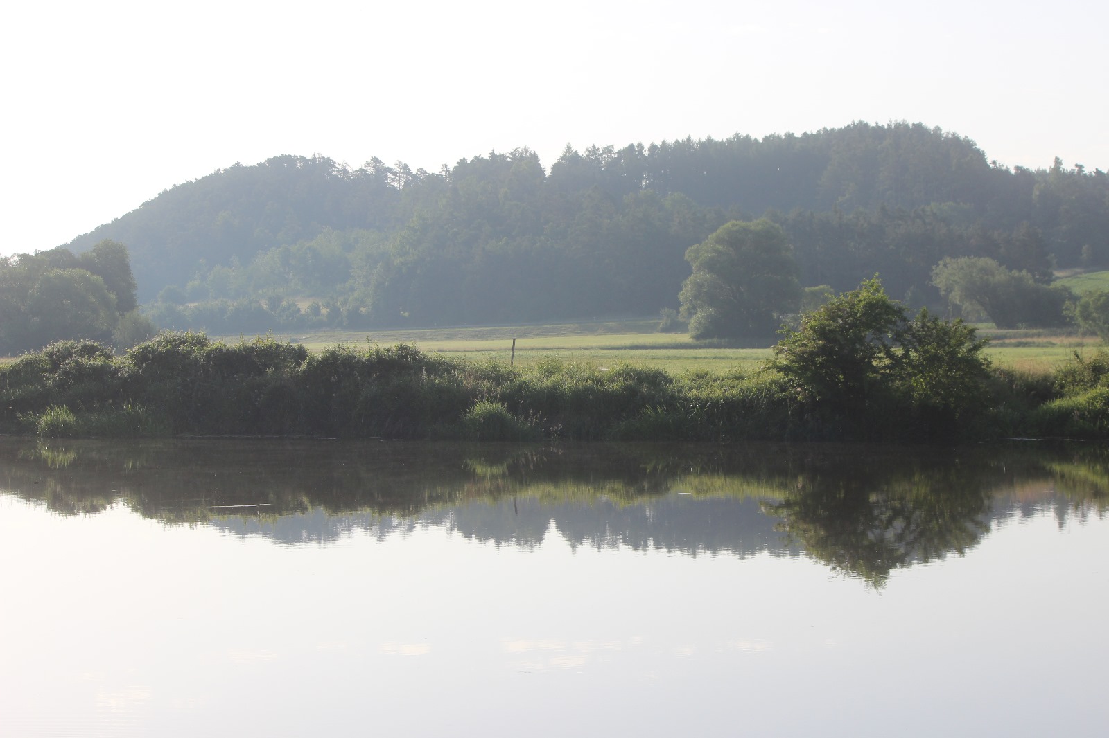 Vergrößerbares Bild
