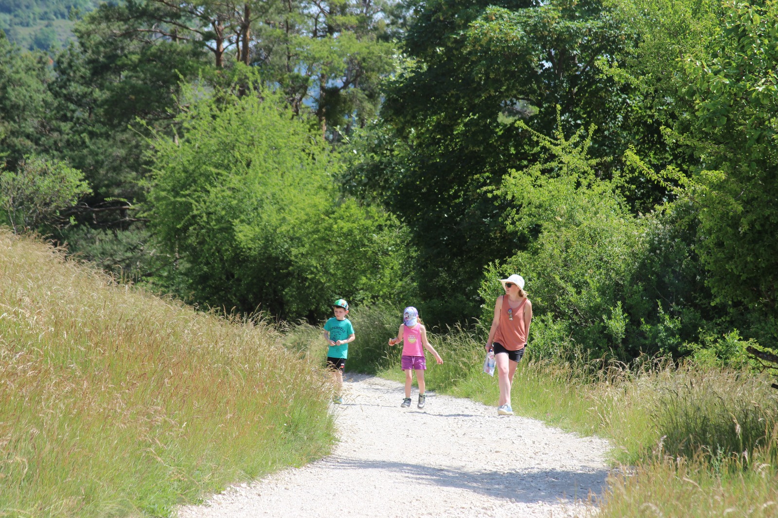 Vergrößerbares Bild