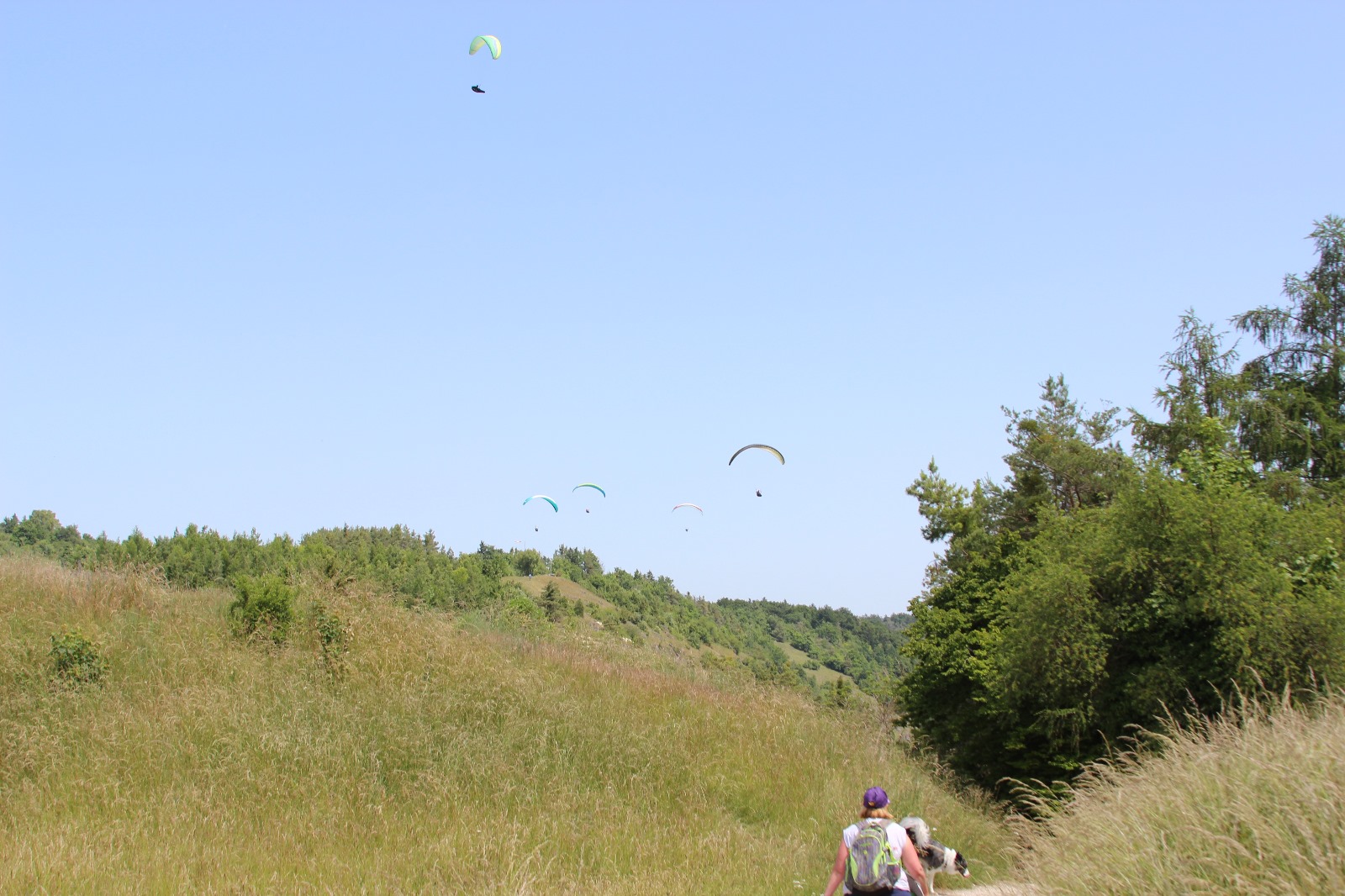 Vergrößerbares Bild