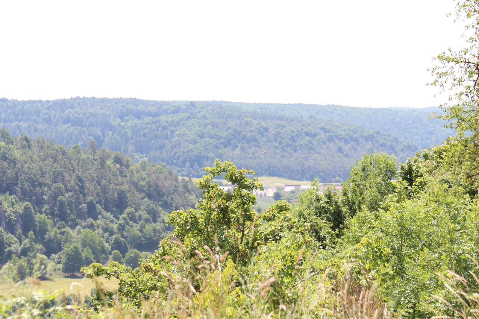 Vergrößerbares Bild