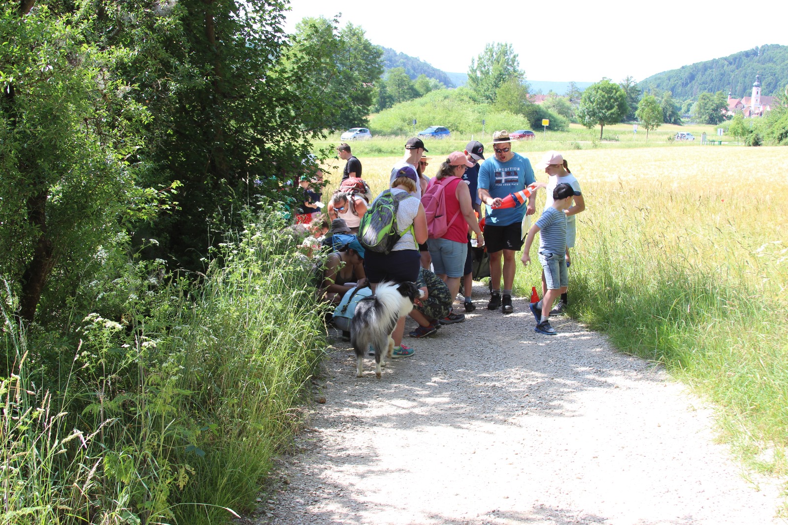 Vergrößerbares Bild