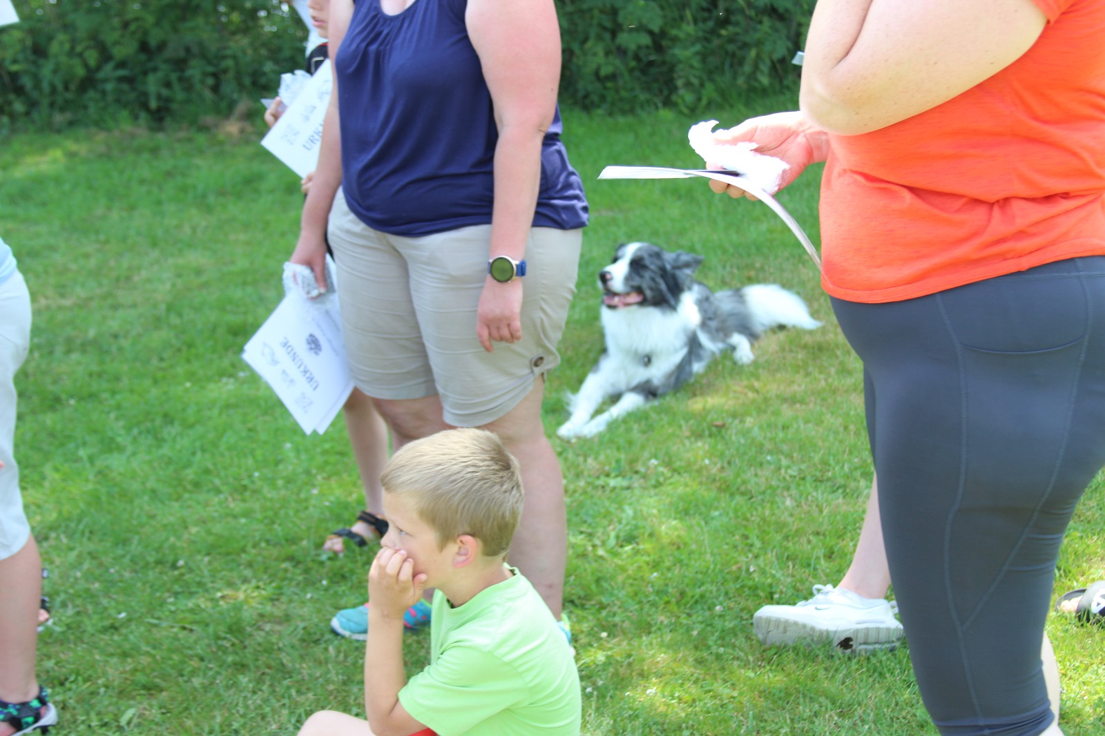 Vergrößerbares Bild