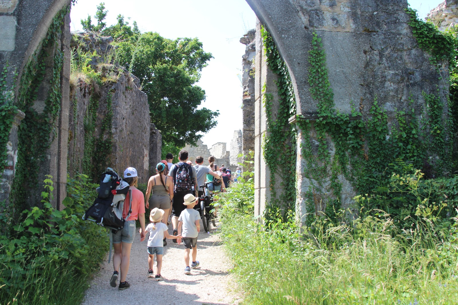 Vergrößerbares Bild