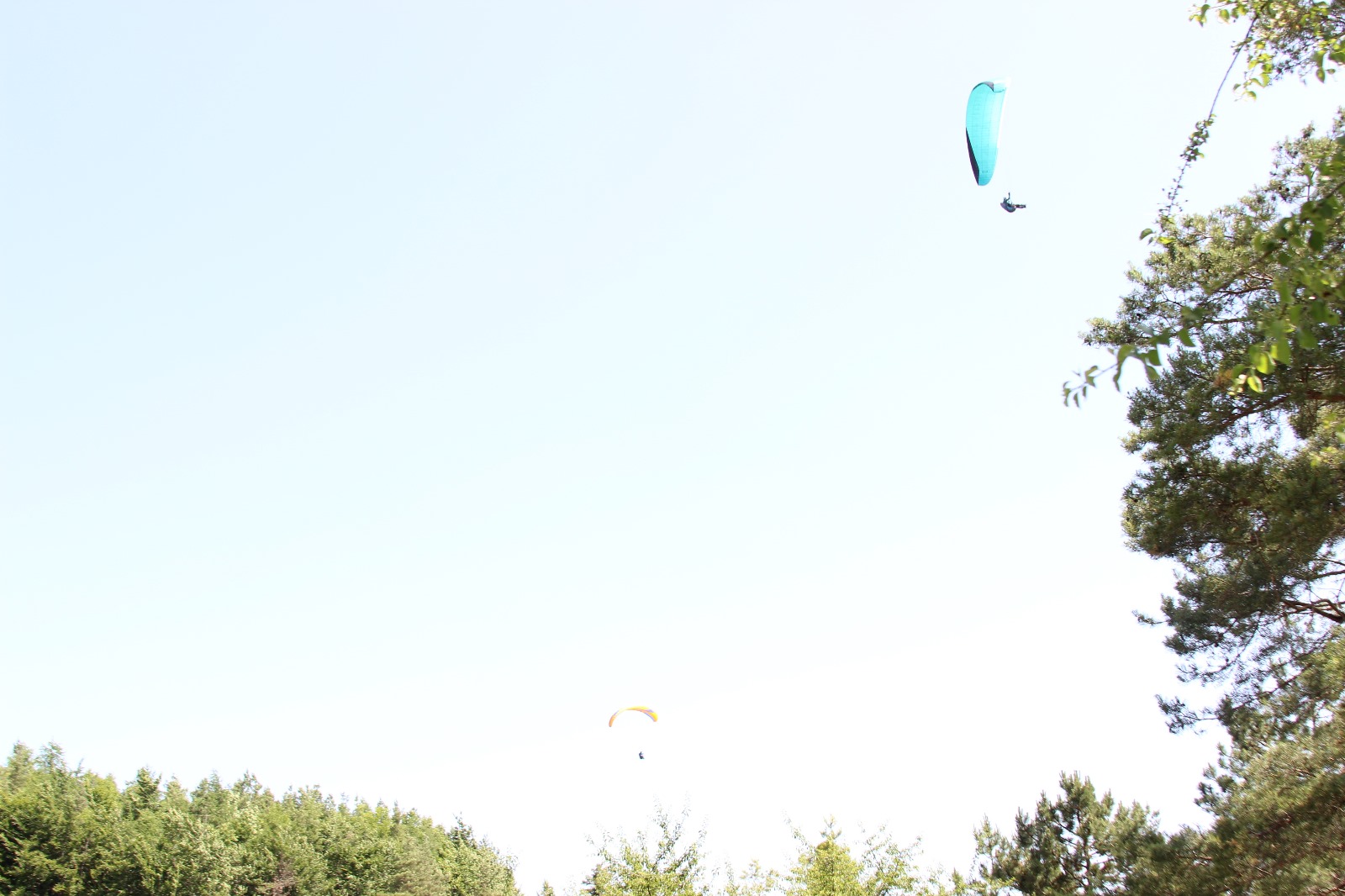 Vergrößerbares Bild