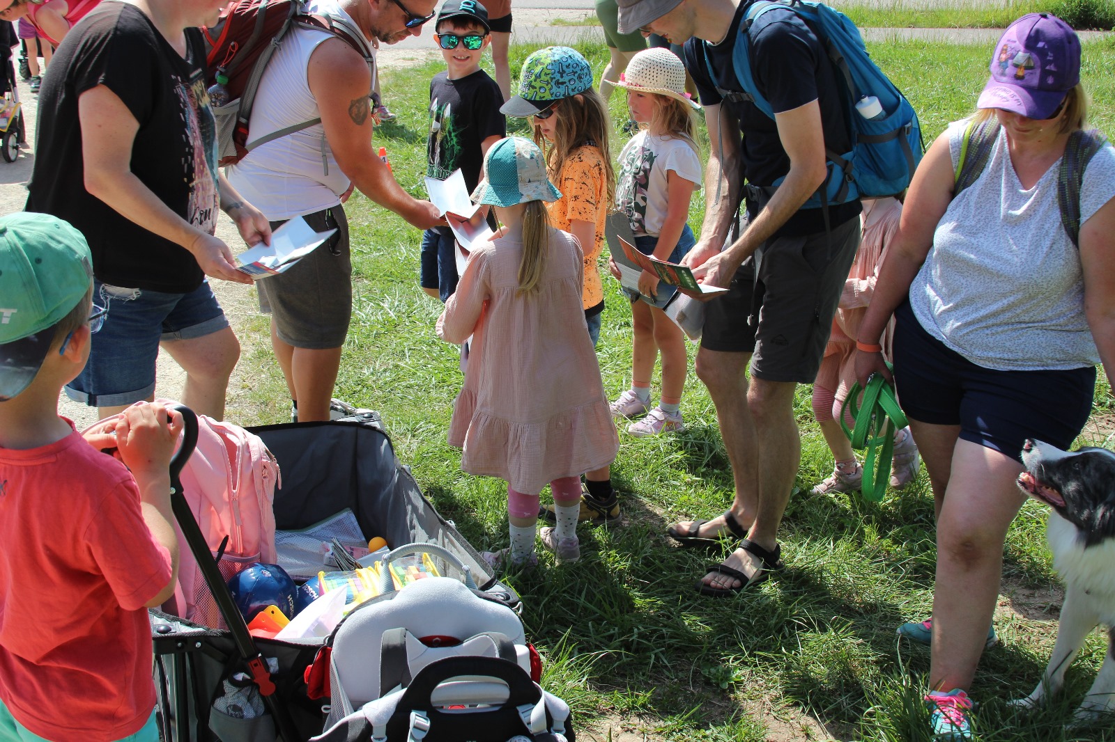 Vergrößerbares Bild