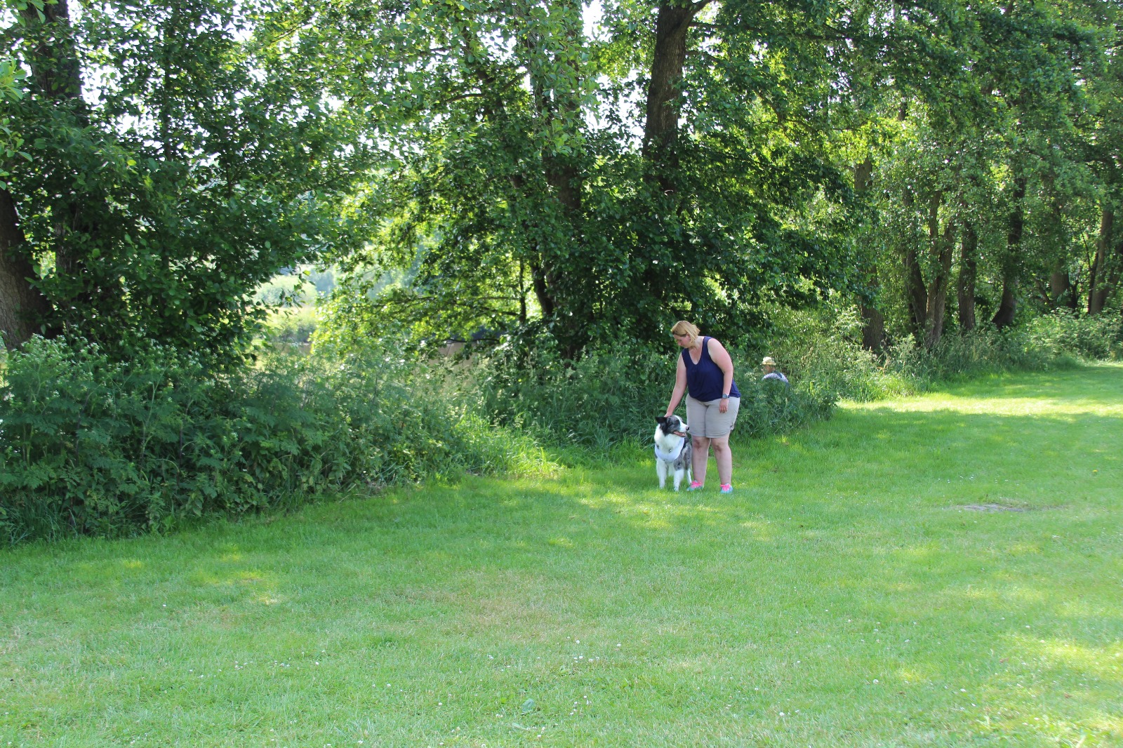 Vergrößerbares Bild