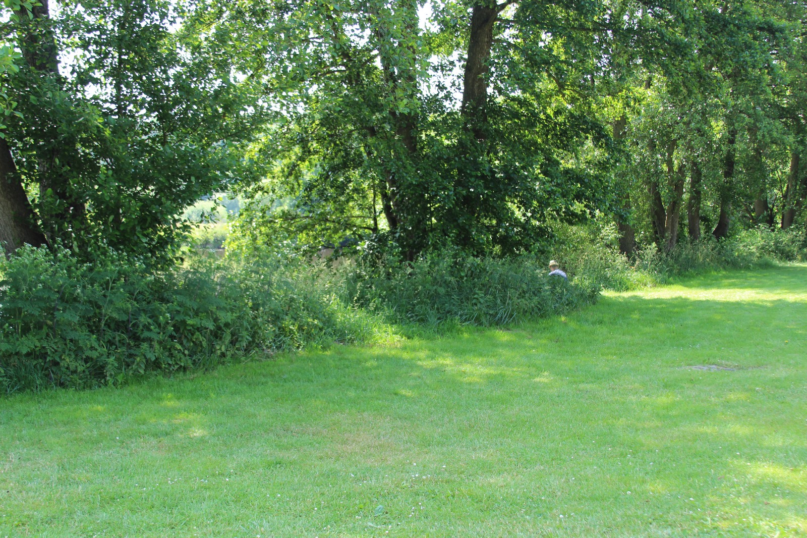 Vergrößerbares Bild