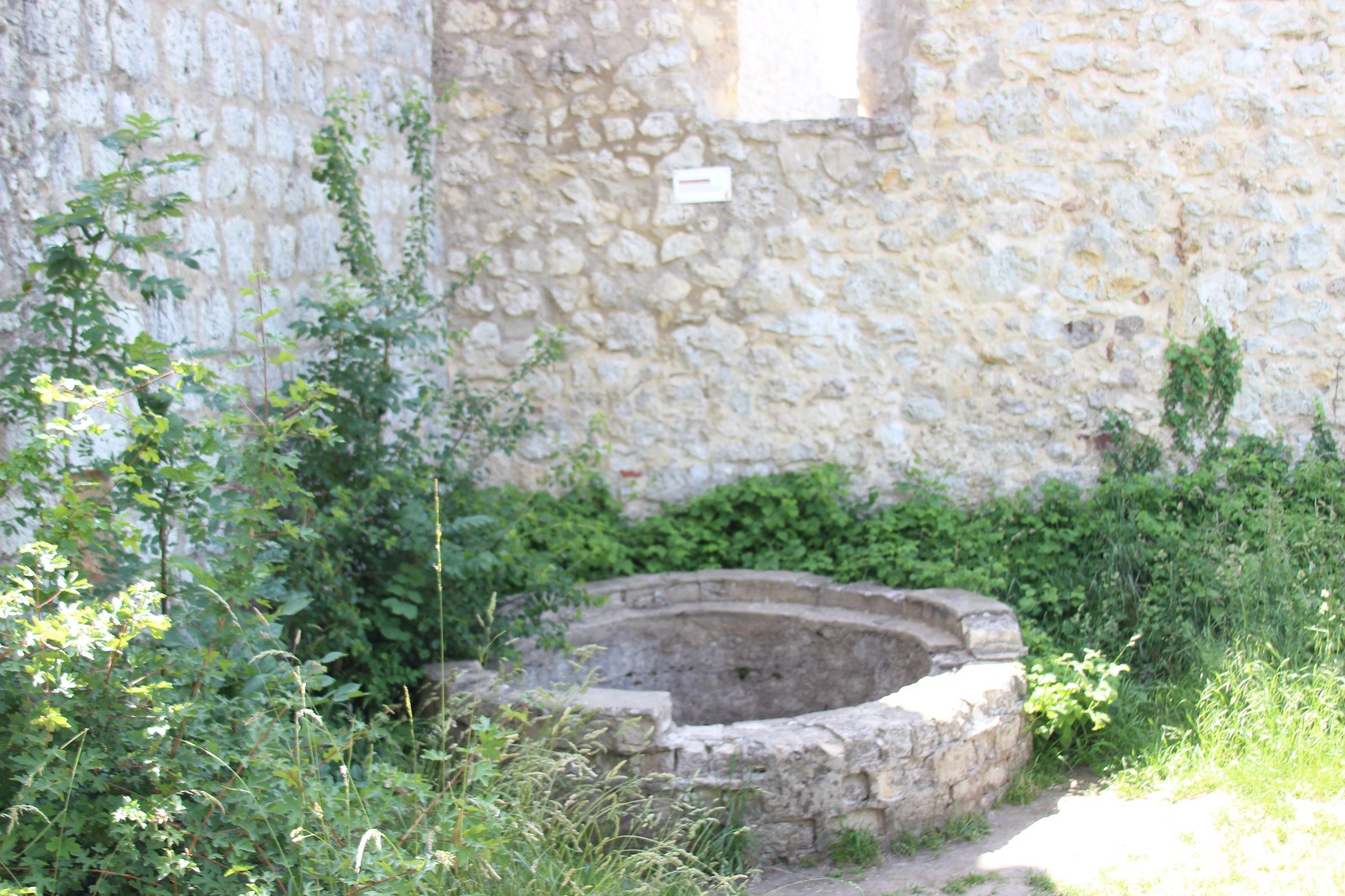 Vergrößerbares Bild