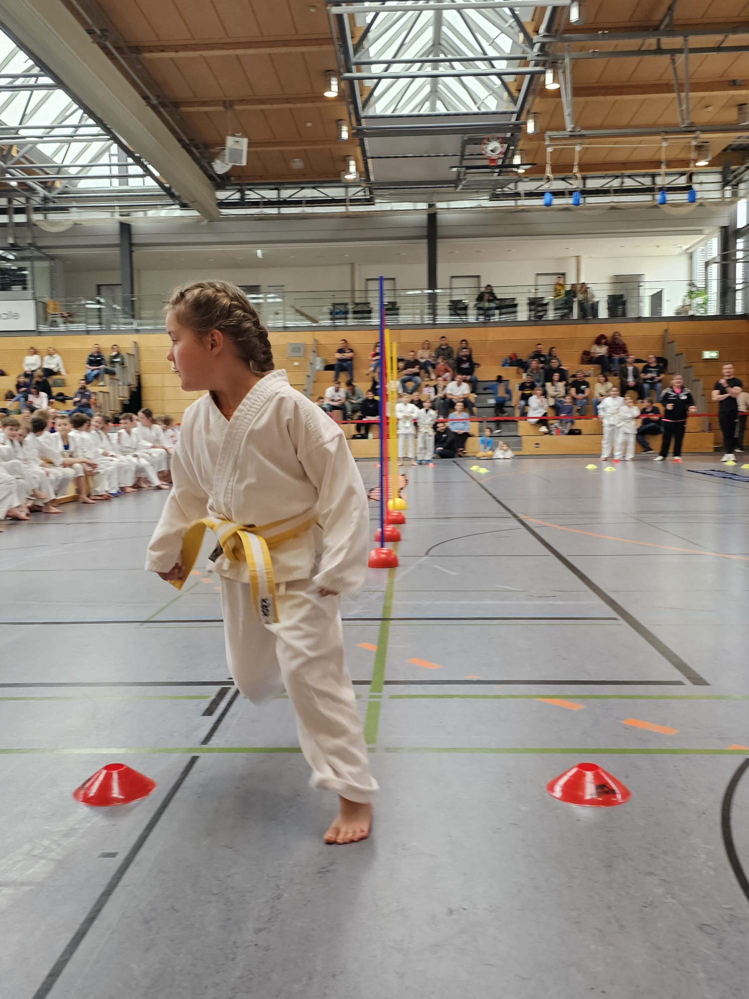 Vergrößerbares Bild